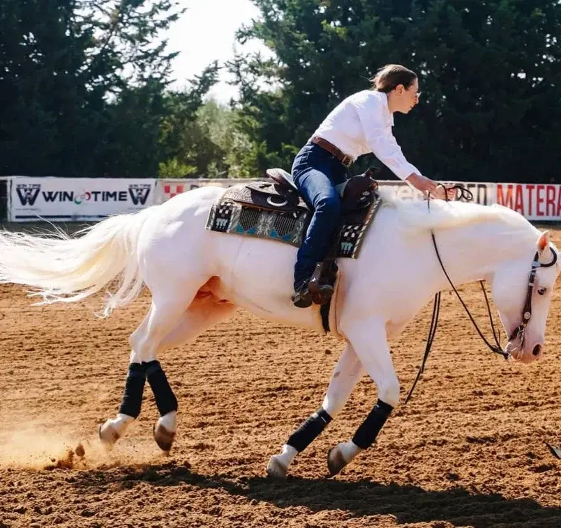 Cavallo bianco in gara — Perazzo Ranch