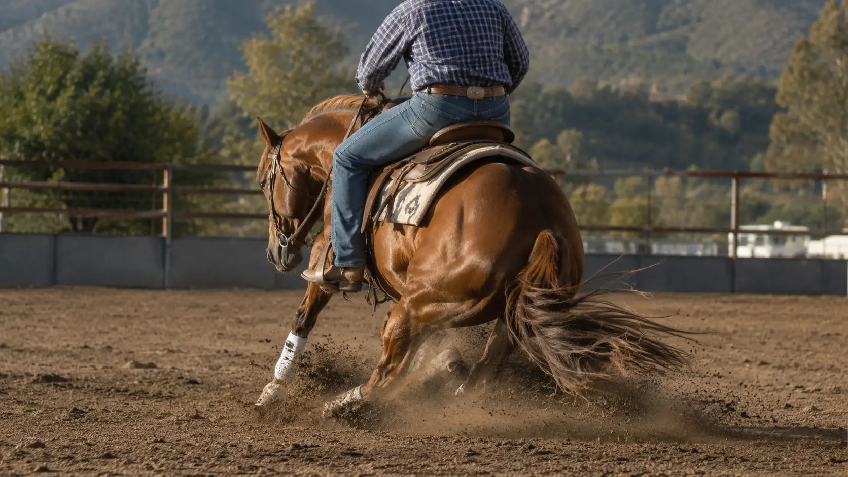 Cavallo e cavaliere in reining: scivolata sulla sabbia del campo